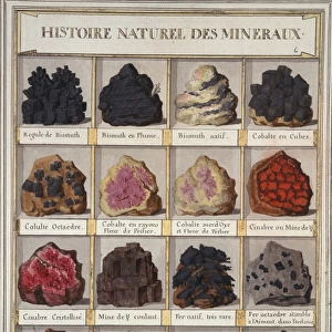 Plate 6a from Histoire naturelle? (1789)