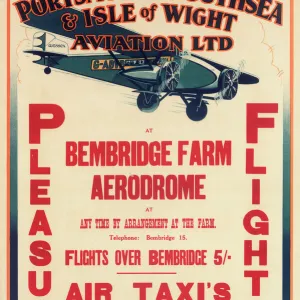 Pleasure Flights Poster