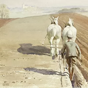 Ploughing a field