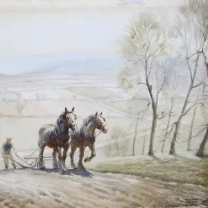 Ploughing with a horse team