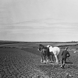 Ploughing with horses