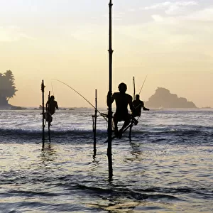 Pole fishermen, Sri Lanka - 2