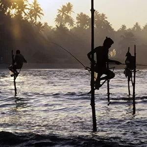 Pole fishermen, Sri Lanka - 3