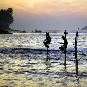 Pole fishermen, Sri Lanka - 4