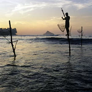 Pole fishermen, Sri Lanka - 5