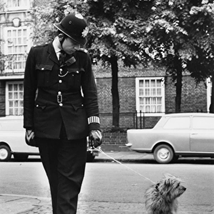 Policeman in a street with a lost dog