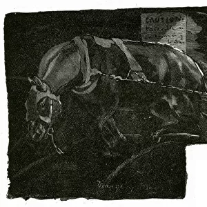 Pony tramming 1889