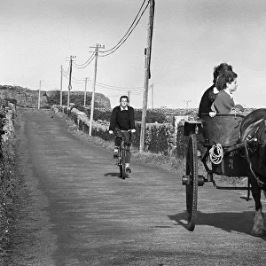 Pony and trap on the island of Innishmore, Aran Islands