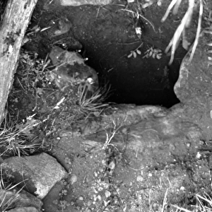A poor view of a Souterrain in Muckamore