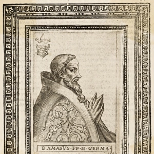 Pope Damasus II