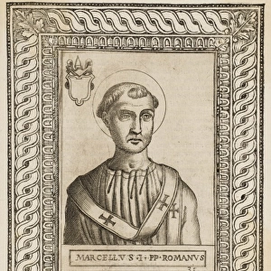 Pope Marcellus I