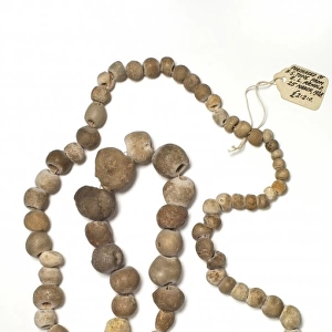 Porosphaera (sponge) necklace