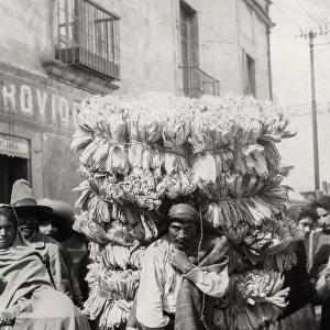 Porter carrying corn husks for Tamales, Mexico