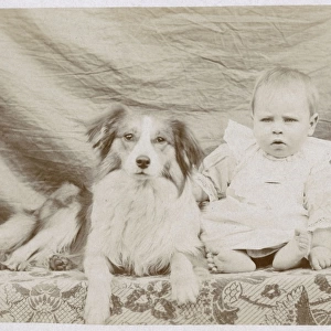 Portrait of baby and dog