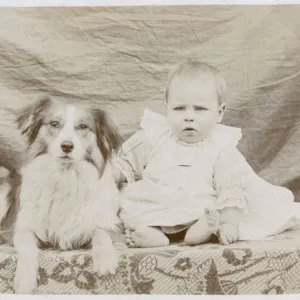 Portrait of baby and dog