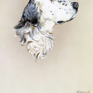 Portrait painting of an English Setter Dog