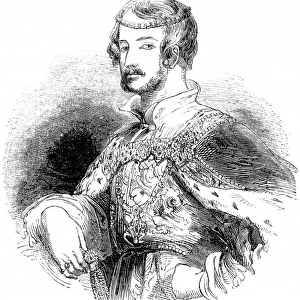 Portrait of Prince Albert, fancy dress ball, 1842