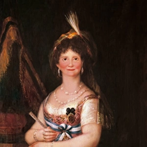 Portrait of Queen Maria Luisa, wife of King Charles IV of Sp
