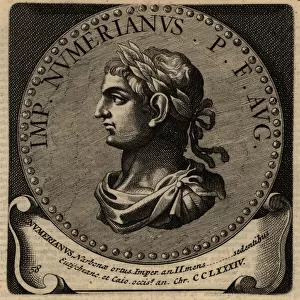 Portrait of Roman Emperor Numerian