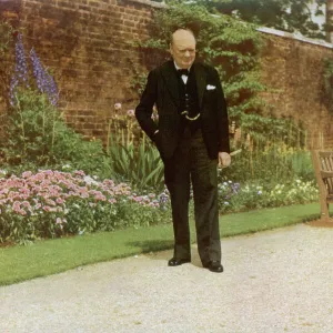 Portrait of Winston Churchill