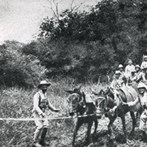 Portuguese troops in southern Angola, West Africa, WW1
