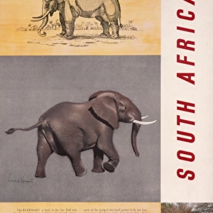 Poster advertising South African game reserves