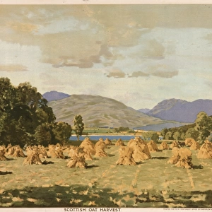 Poster depicting the Scottish oat harvest