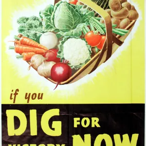 Poster: Dig For Victory Now