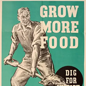 Poster, Dig for Victory, Grow More Food, WW2