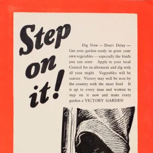 Poster, Dig for Victory, WW2