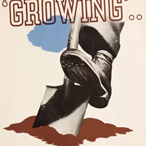 Poster, The need is growing, Dig for Victory still, WW2