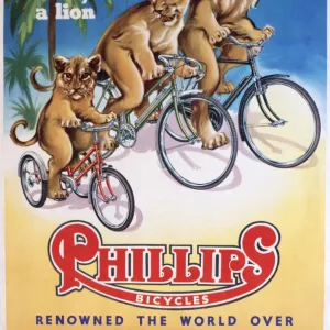 Poster, Phillips Bicycles