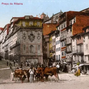 Praca da Ribeira, Porto, northern Portugal