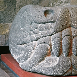 Pre-columbian Art. Mexico. Aztec. Serpent head. National Mus