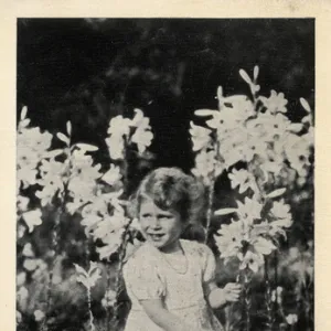 Princess Elizabeth playing amid the lilies