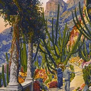 Principality of Monaco (Monte Carlo) - Botanical Gardens