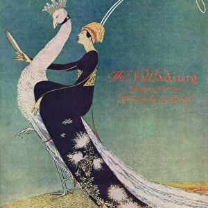 Programme cover for productions at the the Palladium Theatr