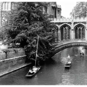 Punting at Cambridge 1