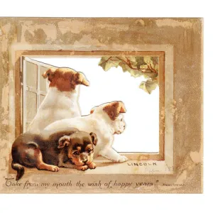 Three puppies in a window on a Christmas card