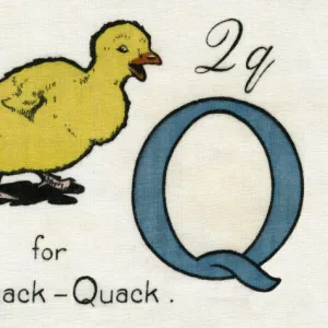 Q for Quack Quack