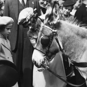 Queen Elizabeth II as a child with a donkey