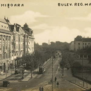 Queen Maria Boulevard - Timisoara - Romania
