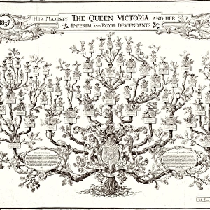 Queen Victoria family tree 1897