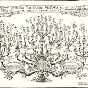 Queen Victoria family tree 1897