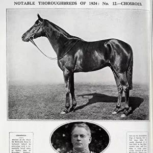 The Racehorse Chosroes