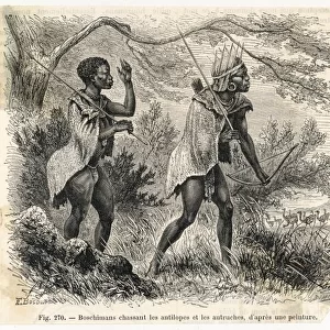 Racial /s Africa / Bushmen
