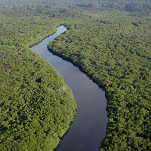 Rainforest and a river near Sekong Bay, near Sandakan