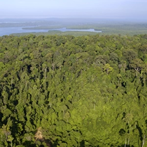 Rainforest and Sekong Bay near Sandakan