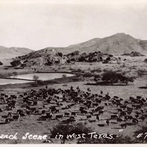 Ranch scene in West Texas, USA