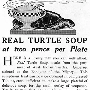 Real Turtle Soup